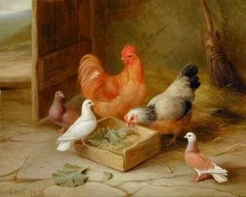 unknow artist Cocks 107 oil painting image
